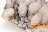 Cactus Quartz (Amethyst) Crystal Cluster - South Africa #207556-4